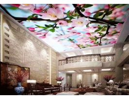 春意濃濃的季節--桃花盛開