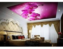 知否----主題酒店之客房